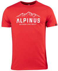 Alpinus Vyriški marškiniai Mountains FU18511 цена и информация | Футболка мужская | pigu.lt