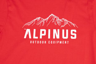 Alpinus Vyriški marškiniai Mountains FU18511 kaina ir informacija | Vyriški marškinėliai | pigu.lt