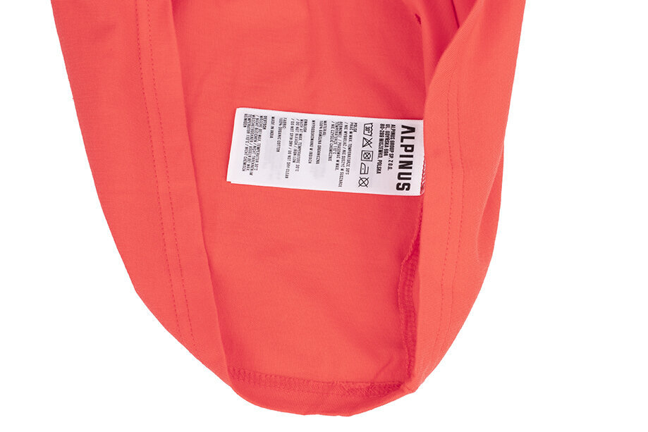 Marškinėliai vyrams Alpinus Polaris FU18550, oranžiniai цена и информация | Vyriški marškinėliai | pigu.lt