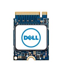 Dell AC280179 kaina ir informacija | Vidiniai kietieji diskai (HDD, SSD, Hybrid) | pigu.lt