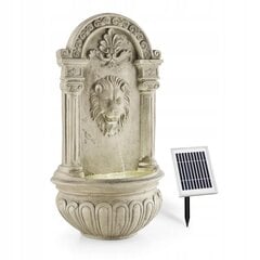 Sieninis fontanas Liūto galva, 41x72x22 cm kaina ir informacija | Sodo dekoracijos | pigu.lt