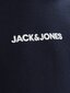 Jack&Jones bluzonas berniukams 5715425305078, mėlynas цена и информация | Megztiniai, bluzonai, švarkai berniukams | pigu.lt