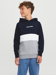 Jack&Jones bluzonas berniukams 5715425305078, mėlynas kaina ir informacija | Megztiniai, bluzonai, švarkai berniukams | pigu.lt