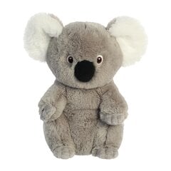 Minkštas žaislas Aurora Eco Nation koala, 20 cm kaina ir informacija | aurora Autoprekės | pigu.lt