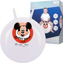 Šokinėjantis kamuolys Mickey Mouse 130059141 kaina ir informacija | John Vaikams ir kūdikiams | pigu.lt