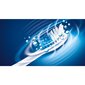 Sencor SOC 2271SR kaina ir informacija | Elektriniai dantų šepetėliai | pigu.lt