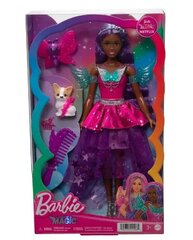 Barbie FYK 52 цена и информация | Игрушки для девочек | pigu.lt