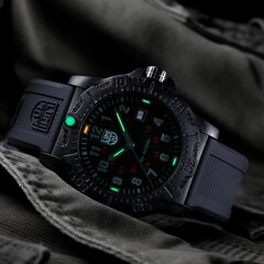 Luminox Never Get Lost CARBONOX™ X2.2032 X2.2032 цена и информация | Мужские часы | pigu.lt