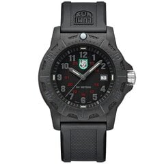 Luminox Never Get Lost CARBONOX™ X2.2032 X2.2032 цена и информация | Мужские часы | pigu.lt