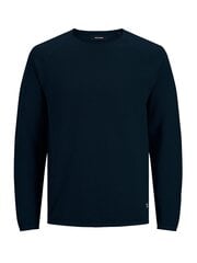 Jack&Jones megztinis berniukams 5715425186684, mėlynas kaina ir informacija | Megztiniai, bluzonai, švarkai berniukams | pigu.lt