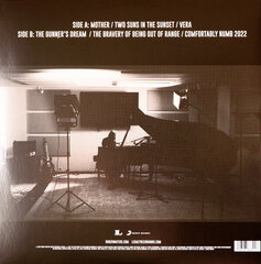 Vinilinė plokštelė Roger Waters The Lockdown Session LP цена и информация | Виниловые пластинки, CD, DVD | pigu.lt