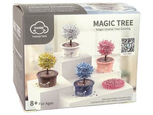 Magiškas kristalų medis Magic Tree, baltas kaina ir informacija | Lavinamieji žaislai | pigu.lt