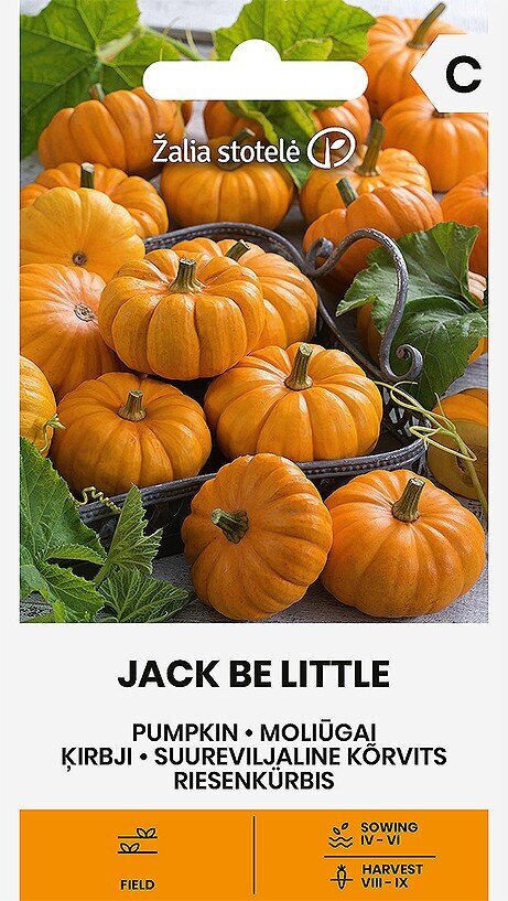 Moliūgai Jack Be Little Žalia stotelė цена и информация | Daržovių, uogų sėklos | pigu.lt