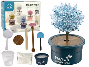 Kristalus auginantis medis, mėlynas kaina ir informacija | Lavinamieji žaislai | pigu.lt