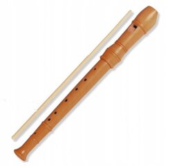 Деревянная флейта Пронетт цена и информация | Духовые инструменты | pigu.lt