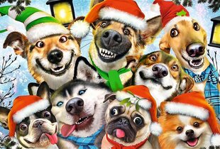 Dėlionė kalėdiniai šunys Trefl, 501 d. цена и информация | Пазлы | pigu.lt
