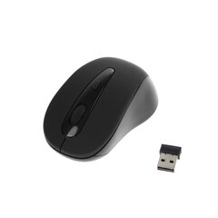 Mouse TR1122 kaina ir informacija | Pelės | pigu.lt
