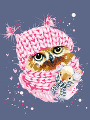 Tapyba pagal skaicius TM Varvikas Winter Owl ME1118e 30x40 cm kaina ir informacija | Tapyba pagal skaičius | pigu.lt