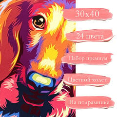 Tapyba pagal skaicius TM Varvikas Through the eyes of a dachshund ME1143e 30x40 cm kaina ir informacija | Tapyba pagal skaičius | pigu.lt