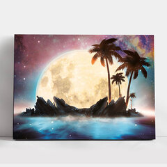 Tapyba pagal skaicius TM Varvikas Magical moon ME1148e 30x40 cm kaina ir informacija | Tapyba pagal skaičius | pigu.lt