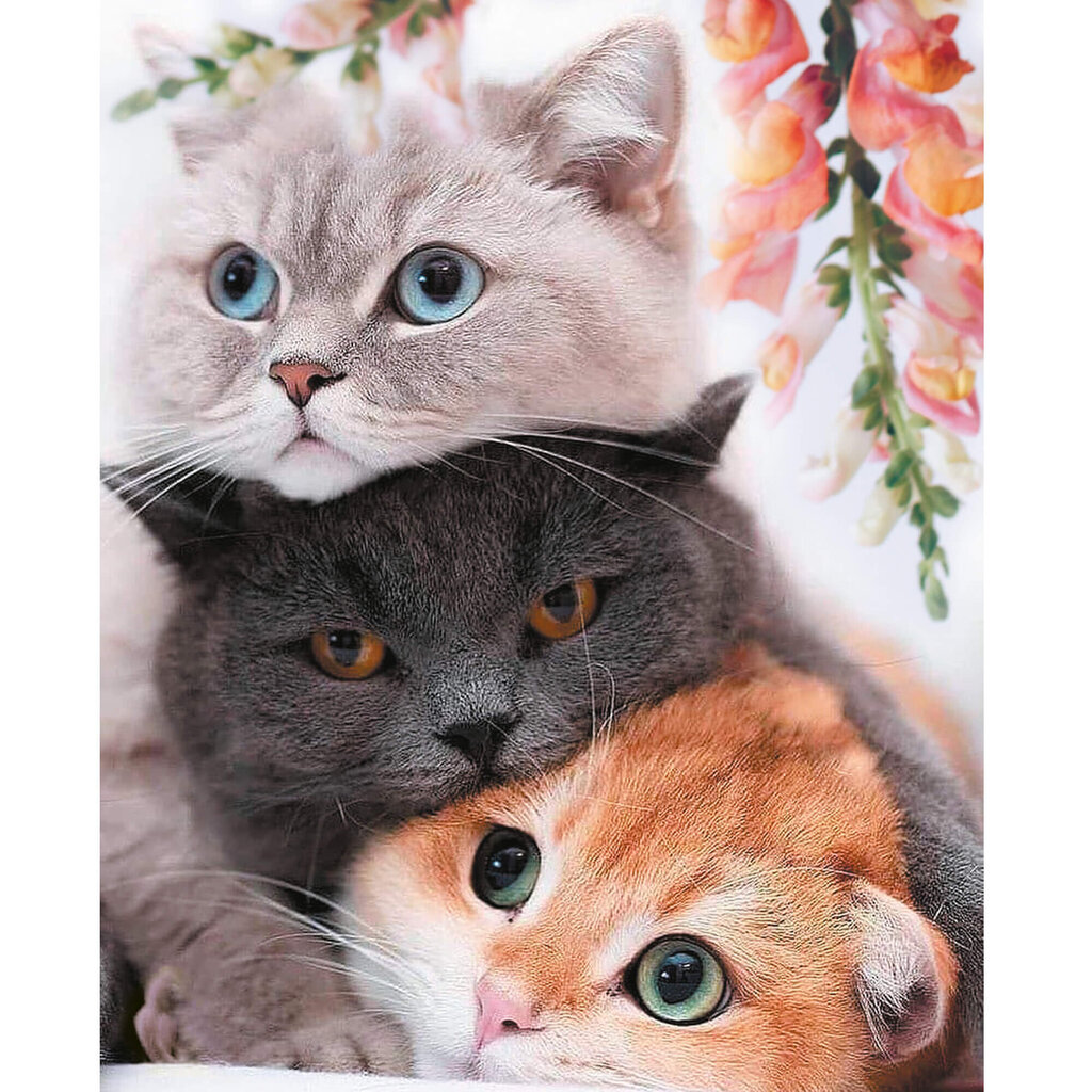 Tapyba pagal skaicius TM Varvikas Three Kittens MG2431e 40x50 cm kaina ir informacija | Tapyba pagal skaičius | pigu.lt