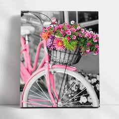 Tapyba pagal skaicius TM Varvikas Pink bicycle MG2464e 40x50 cm kaina ir informacija | Tapyba pagal skaičius | pigu.lt