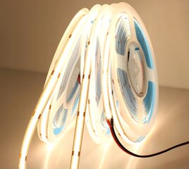 LED juosta Neon COB 12 V 12W/m, 5m цена и информация | Светодиодные ленты | pigu.lt