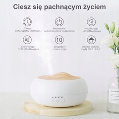 Aroma Zen difuzorius ultragarsinis, 250 ml цена и информация | Увлажнители воздуха | pigu.lt