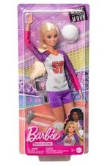 Lėlė tinklininkė Barbie kaina ir informacija | Žaislai mergaitėms | pigu.lt