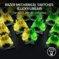 Razer BlackWidow V4 цена и информация | Klaviatūros | pigu.lt