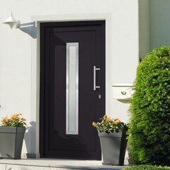 vidaXL Priekinės durys antracito spalvos 88x200cm 279241 цена и информация | Двери со стеклом LIRA, дуб сицилия, ЭКО шпон | pigu.lt
