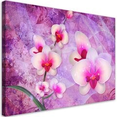 Reprodukcija Orchidėjų abstrakcija kaina ir informacija | Reprodukcijos, paveikslai | pigu.lt