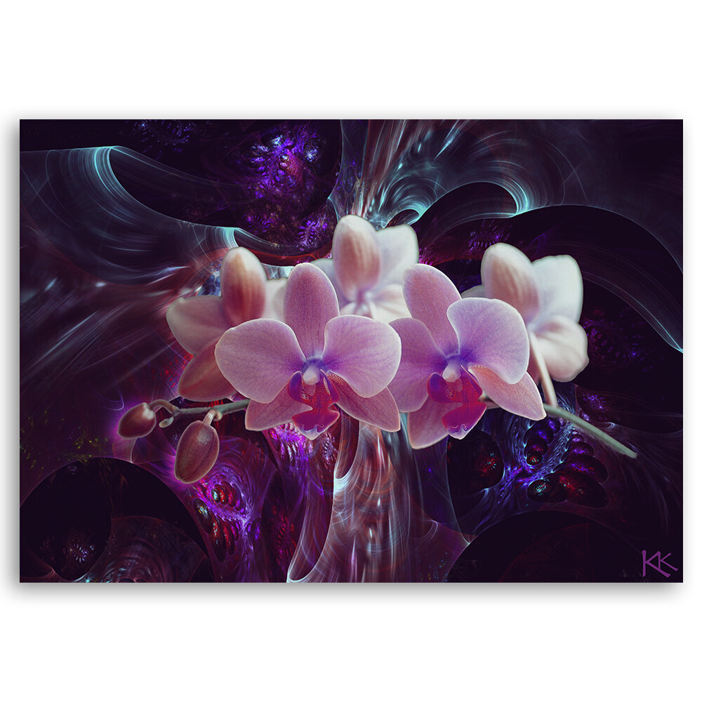 Paveikslas Balta orchidėja tamsiame fone kaina ir informacija | Reprodukcijos, paveikslai | pigu.lt