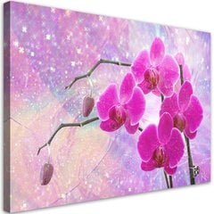 Paveikslas Esminė orchidėjų abstrakcija kaina ir informacija | Reprodukcijos, paveikslai | pigu.lt