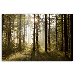 Reprodukcija Rytas miške kaina ir informacija | Reprodukcijos, paveikslai | pigu.lt