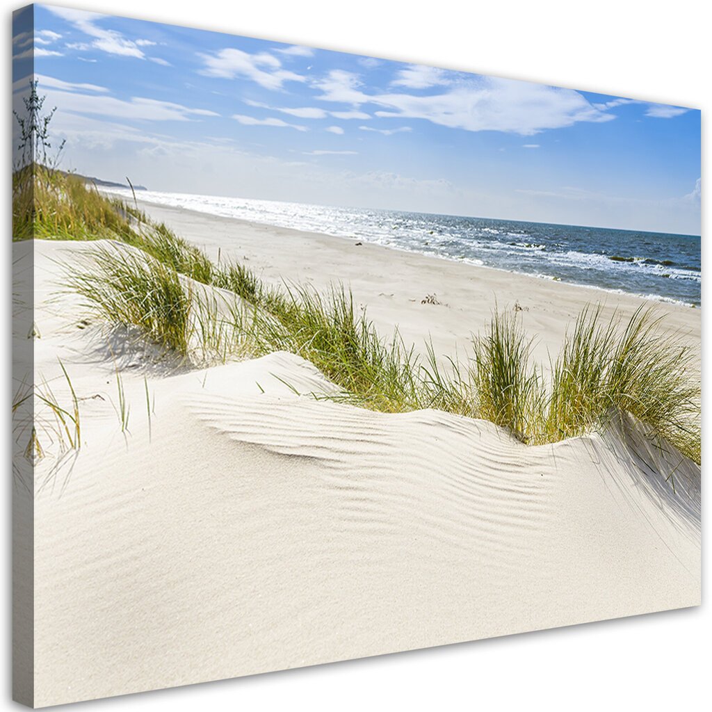 Paveikslas Bałtyk Landscape paplūdimio jūra цена и информация | Reprodukcijos, paveikslai | pigu.lt
