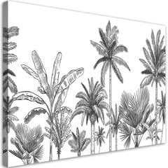 Paveikslas Juodos ir baltos palmės цена и информация | Репродукции, картины | pigu.lt