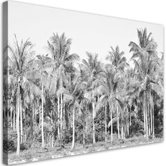Paveikslas Juodos ir baltos palmės džiunglėse kaina ir informacija | Reprodukcijos, paveikslai | pigu.lt