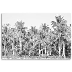 Paveikslas Juodos ir baltos palmės džiunglėse цена и информация | Репродукции, картины | pigu.lt