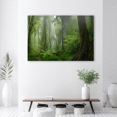 Paveikslas Atogrąžų džiunglių miškas kaina ir informacija | Reprodukcijos, paveikslai | pigu.lt