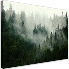 Холст принцип, лес в тумане 79,99 цена и информация | Репродукции, картины | pigu.lt