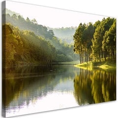 Полотно Пейзаж 120 x 3,5 x 90 cm цена и информация | Репродукции, картины | pigu.lt