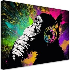 Paveikslas Banksy spalvinga beždžionė kaina ir informacija | Reprodukcijos, paveikslai | pigu.lt