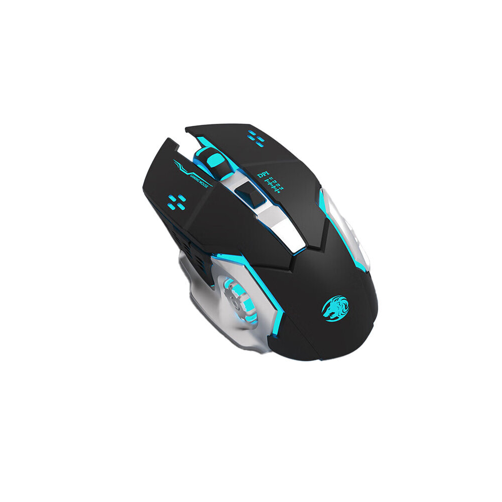 Eweadn G306 RGB kaina ir informacija | Pelės | pigu.lt