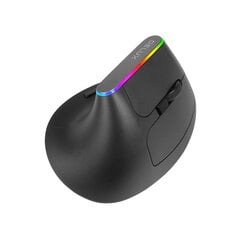 Беспроводная мышь Delux M618C 2.4G 1600DPI RGB ABS цена и информация | Мыши | pigu.lt