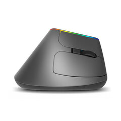 Delux M618DB RGB kaina ir informacija | Pelės | pigu.lt