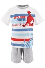 Pižama berniukams Spiderman, įvairių spalvų цена и информация | Пижамы, халаты для мальчиков | pigu.lt