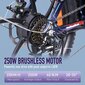 Elektrinis dviratis FAFREES F20 Pro, 20", šviesiai mėlynas kaina ir informacija | Elektriniai dviračiai | pigu.lt