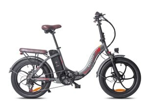 Электровелосипед FAFREES F20 Pro, 20", серый, 250Вт, 18Ач цена и информация | Электровелосипеды | pigu.lt