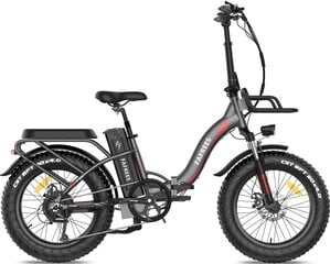 Elektrinis dviratis FAFREES F20 Max, 20", pilkas kaina ir informacija | Elektriniai dviračiai | pigu.lt
